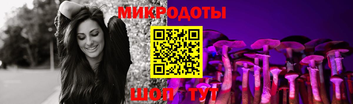 Псилоцибиновые грибы Psilocybe  Галлюциногенные грибы MAGIC MUSHROOMS  Вход с VPN  Севастополь 